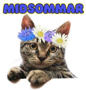 Midsommarkatt med blomsterkrans